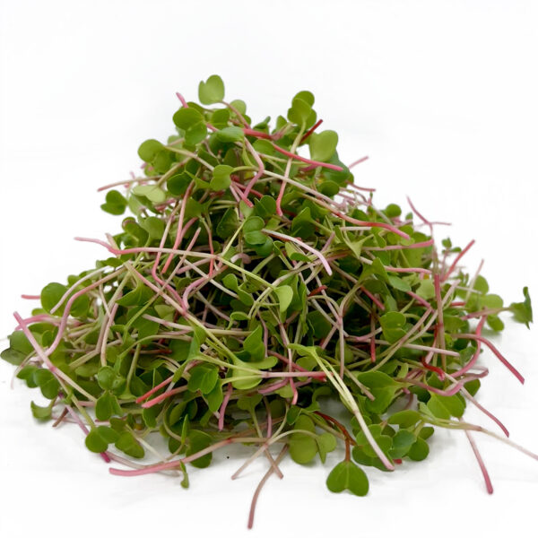 radish microgreen product image