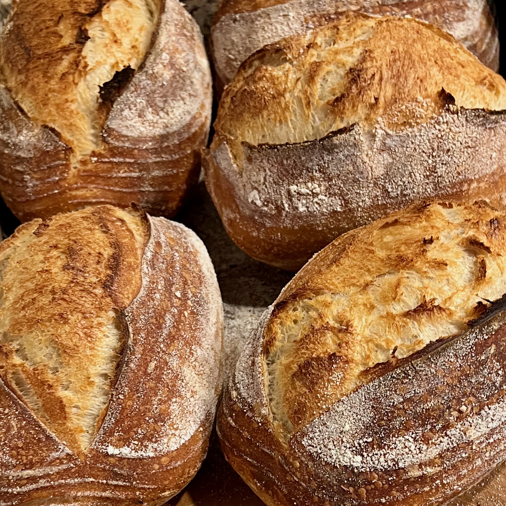 Grand Junction Organic Sourdough Bread Blooming Palate