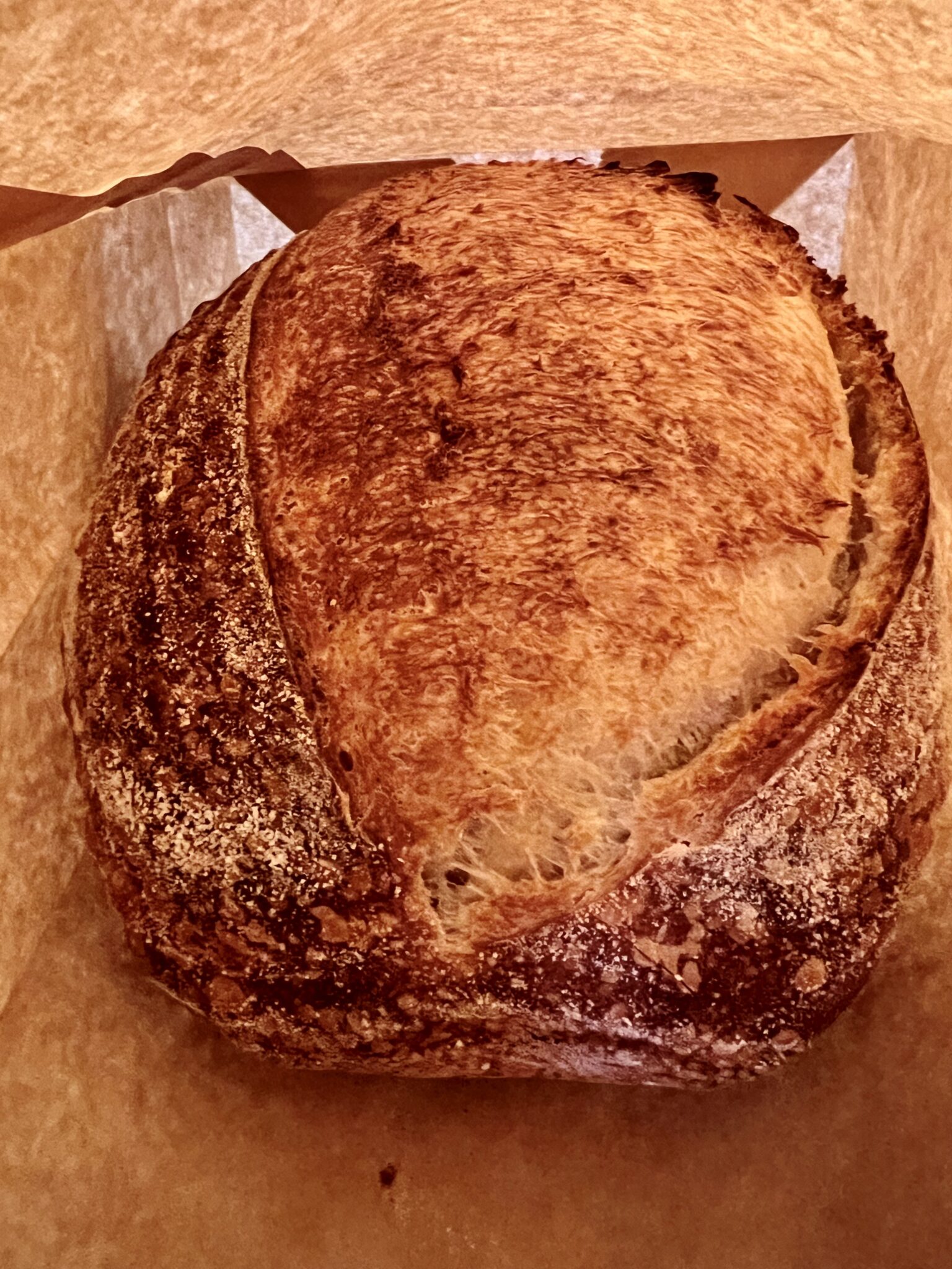 Grand Junction Organic Sourdough Bread Blooming Palate