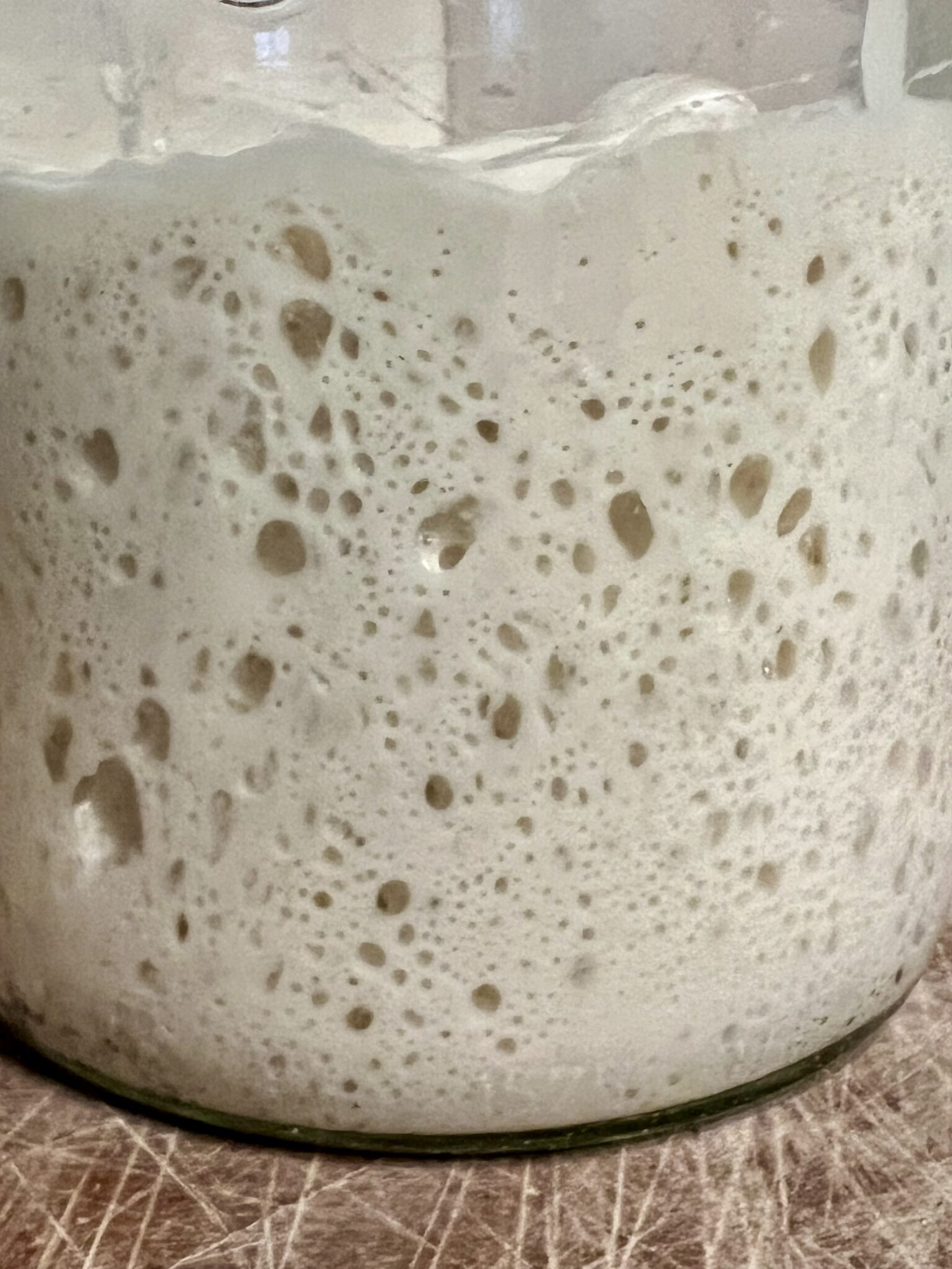 Grand Junction Organic Sourdough Bread Blooming Palate