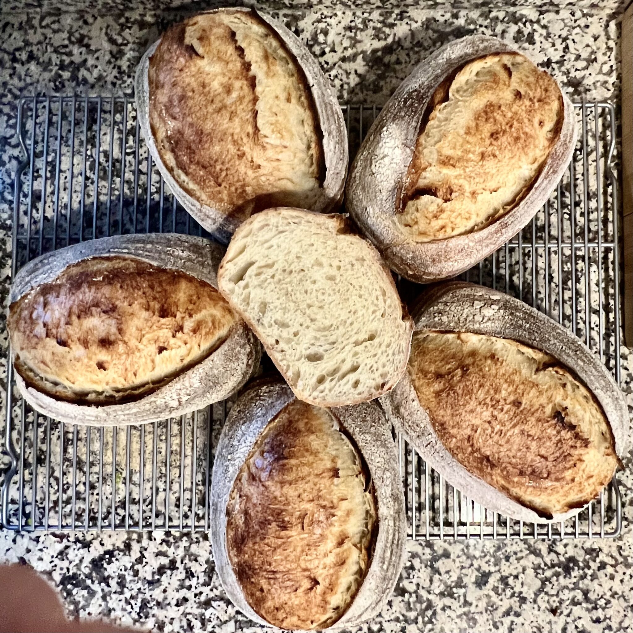 Grand Junction Organic Sourdough Bread Blooming Palate